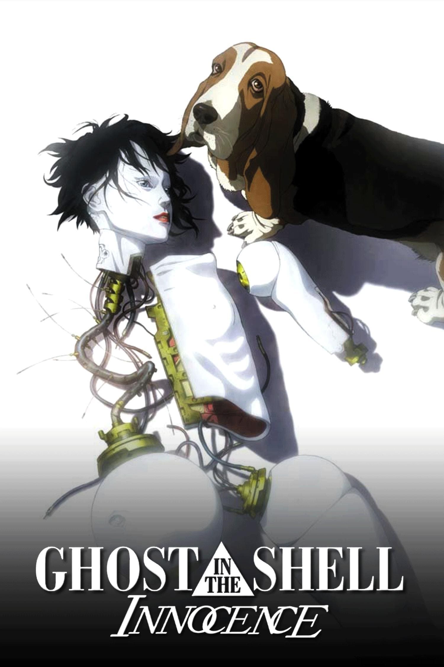Poster for the movie 